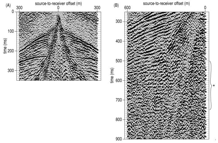 two black and white displays of seismic data