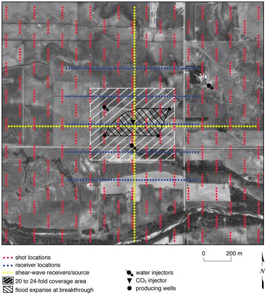black and white orthophoto overlain by shot locations (throughout area), receivers (5 e-w lines concentrated in center), and cross-pattern of shear-wave acquisition