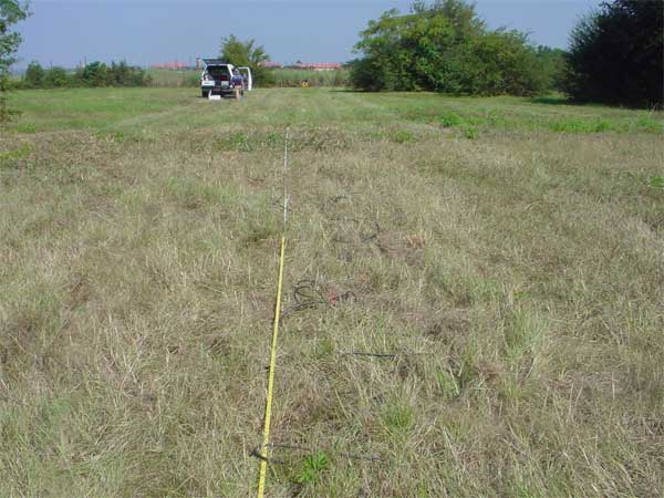 photo of study site; geophones layed out in grassy field