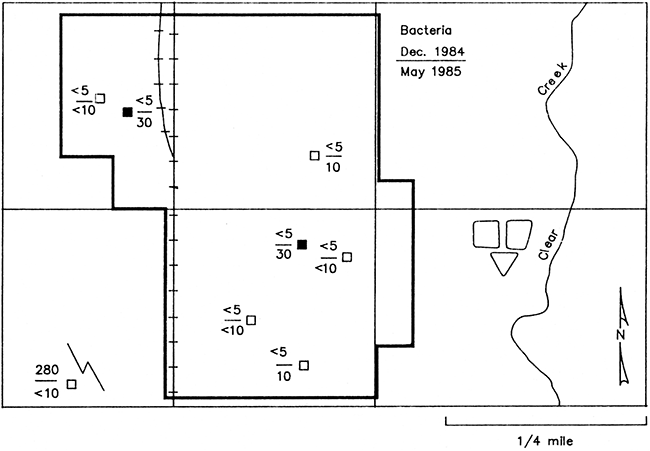 Map of Lincolnville showing fecal Streptococcus bacteria in ground water from monitoring wells sampled December 1984 and May 20, 1985.
