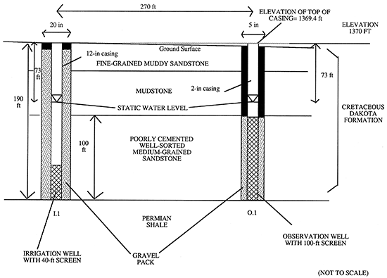 Schematic of aquifer with irrigation and test wells installed.