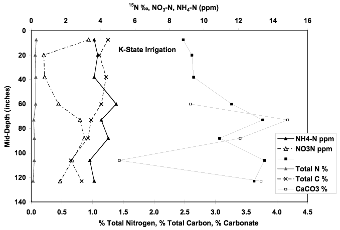 NH4-N steady with depth at around 4 ppm; NO3-N at 3-4 ppm, drops to 1 at 20-60 in. 