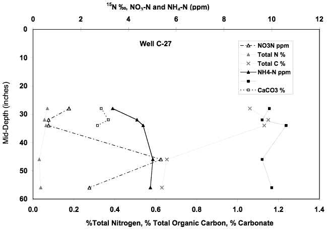 NH4-N rises from 3 to 5 ppm from 28 to 58 in.; NO3-N at 1-2 ppm but has sharp spike to almost 6 ppm at 47 in. 
