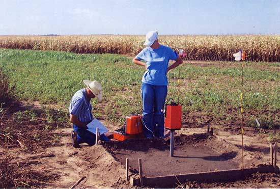 Square sudy plot in grasses next to browning corn field; two researchers checking equipment.