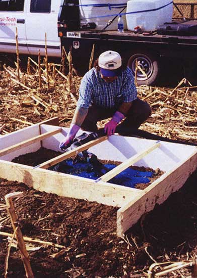 Researcher working to add bright blue dye to soil within wooden frame.