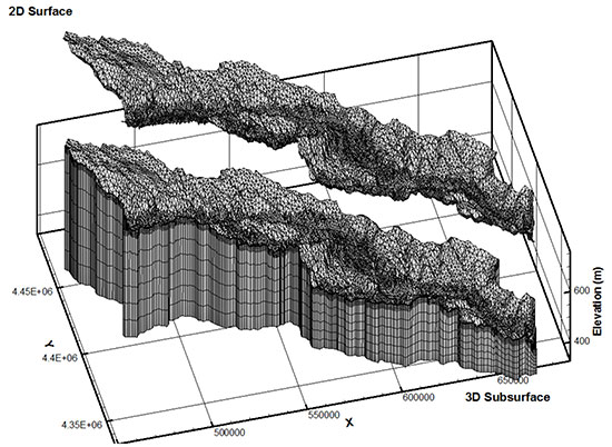 Discretized model domains for HGS simulations.