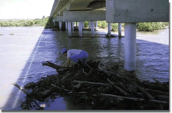 Water sampling during high river flow at Charleston bridge, northwest Gray County.