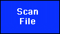 Scan File