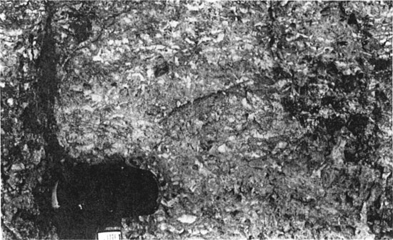 Black and white photo, closeup of outcrop in San Juan River Canyon, Utah.