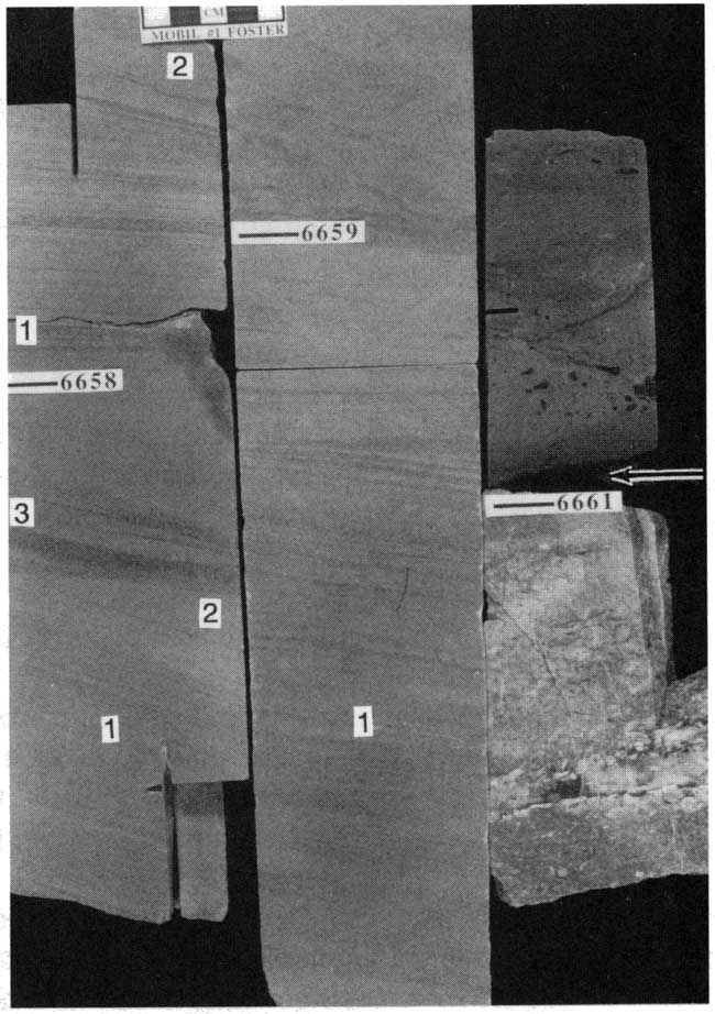 Black and white image of four core sections.