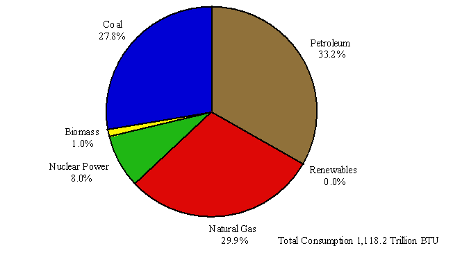 Petroleum 33%, Natural gas 30%, Coal 28%, Nuclear 8%.