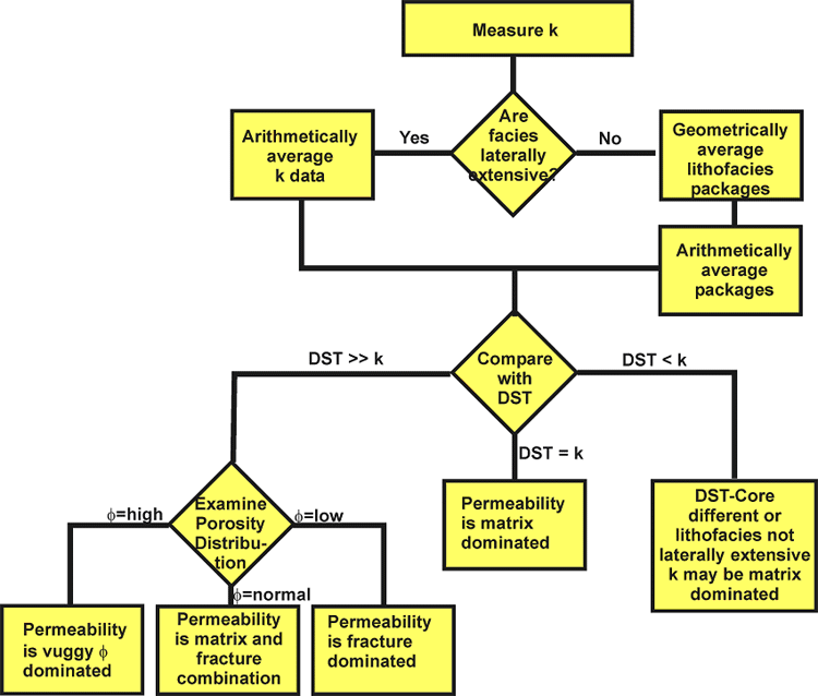 Flow chart for understanding permeability causes.