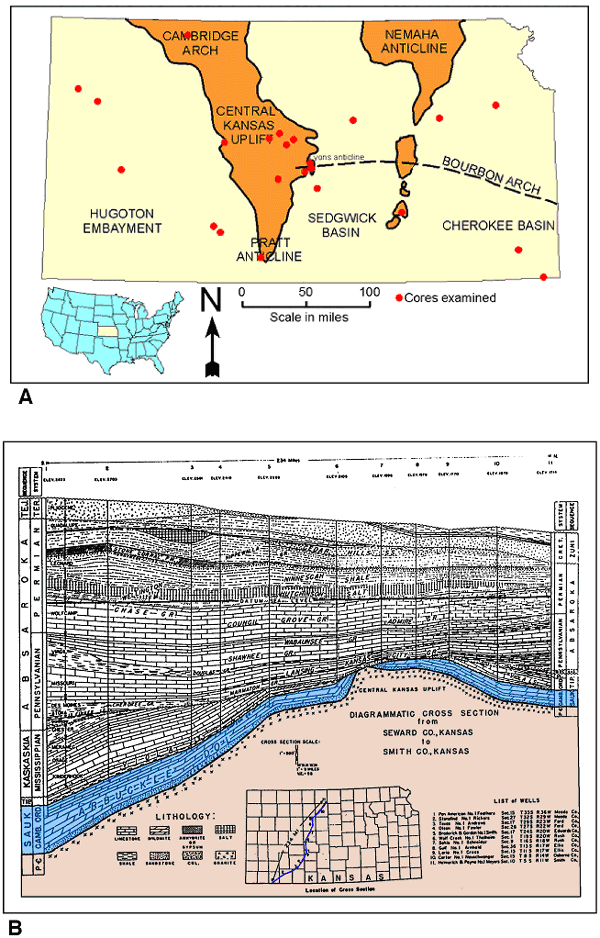 Central Kansas uplift in west-central Kansas, south of Cambridge arch and abd west end of Bourbon arch; cross section from SW to north-central Kansas shows Arbuckle above basement rocks.