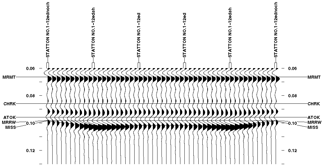 black and white seismic plot