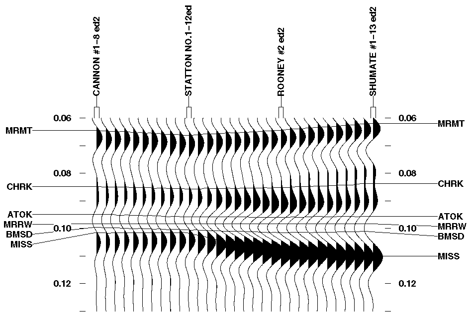 black and white seismic plot