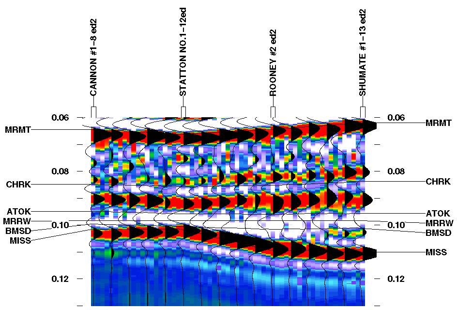 black and white colored seismic plot