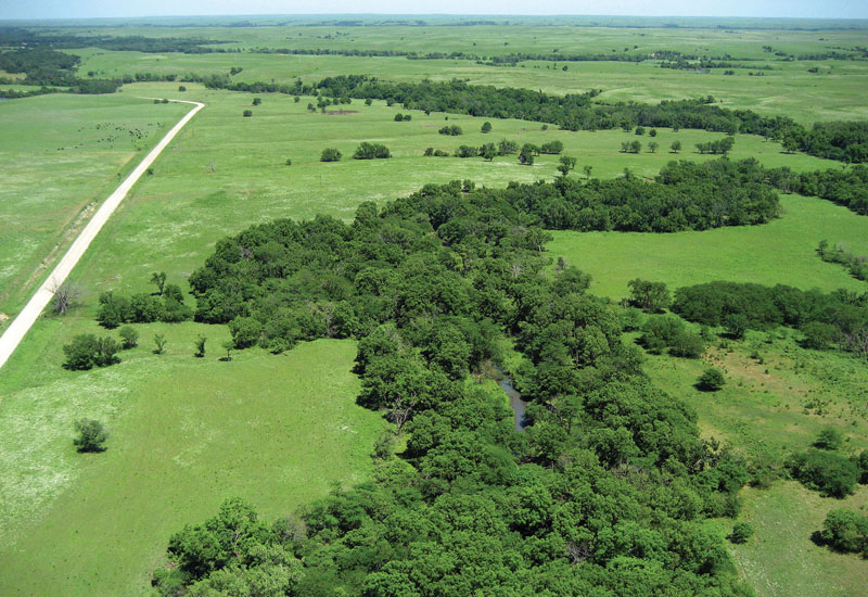 Photo from kite; green grasslands with gravel road to left, trees following stream on right.