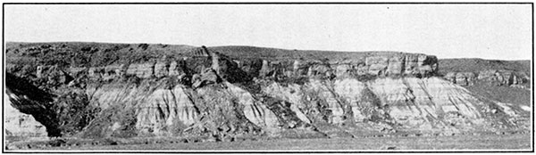 Black and white photo of contact of sandstone at the top of the Dakota formation.