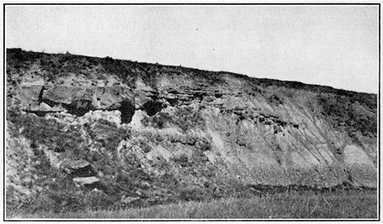 Black and white photo of Rocktown channel sandstone member and variegated shale in the Dakota sandstone.