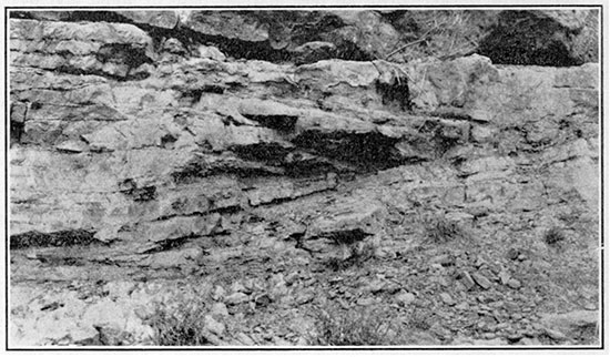 Black and white photo of Rocktown channel sandstone member on shale beds.