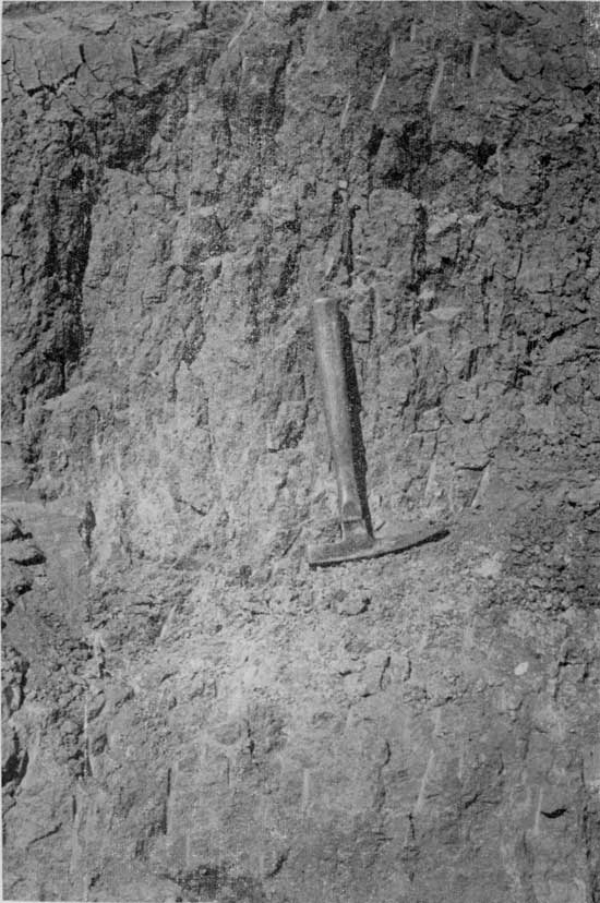 Closeup black and white photo of Yarmouth soil, rock hammer for scale.