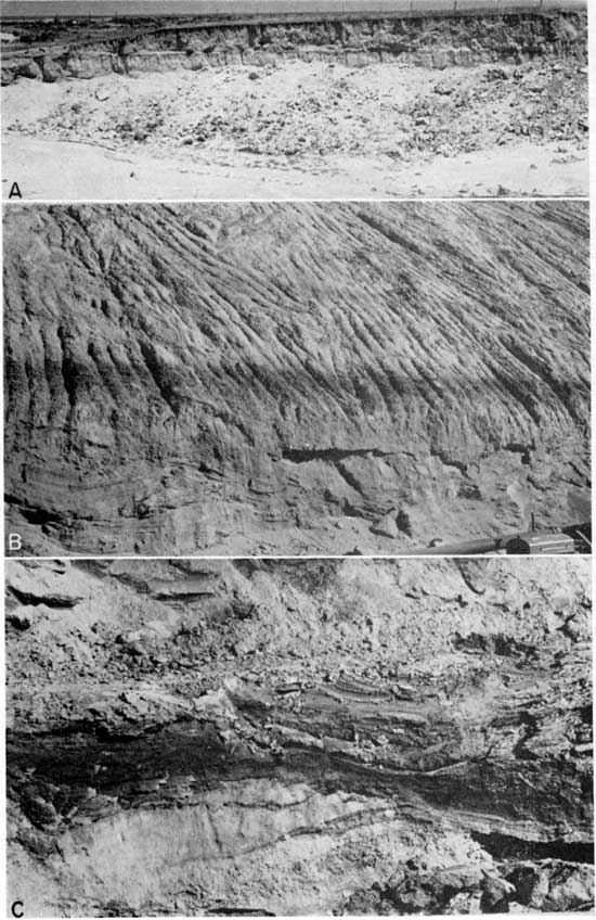 Three black and white photos; top is of shallow gravel pit; second is of smoothly eroded outcrop, light color at top and darker below, with very dark band separating them; bottom photo is closeup of dark sandy silt lentil.