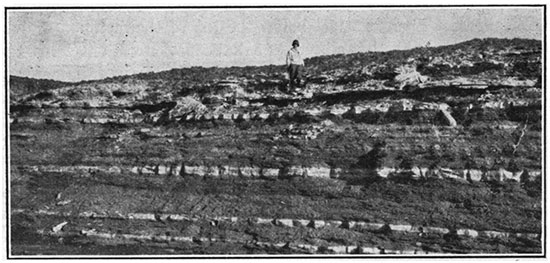 Black and white photo of Bridge Creek limestone member of the Greenhorn limestone.