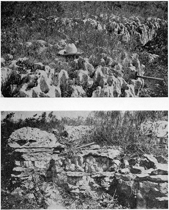 Two black and white photos; upper is limestone bed in uppermost part of Wreford limestone; lower is limestone and chert in the Wreford limestone.