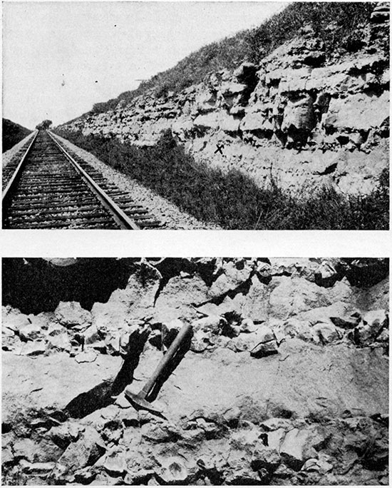 Two black and white photos; upper is Florence flint in railroad cut; lower is closeup of chert nodules in the limestone.