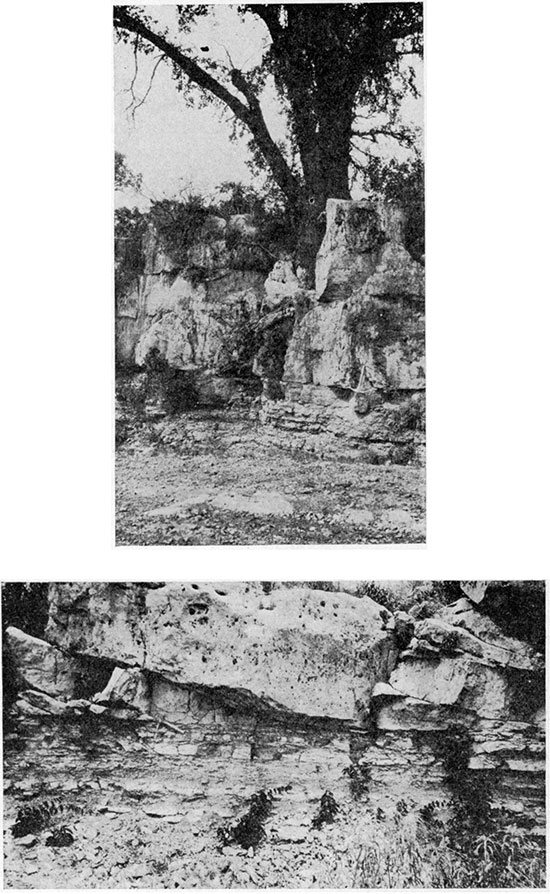 Two black and white photos; upper is Wreford limestone and uppermost part of Doyle shale; lower is lower part of the Winfield limestone and uppermost part of Doyle shale.