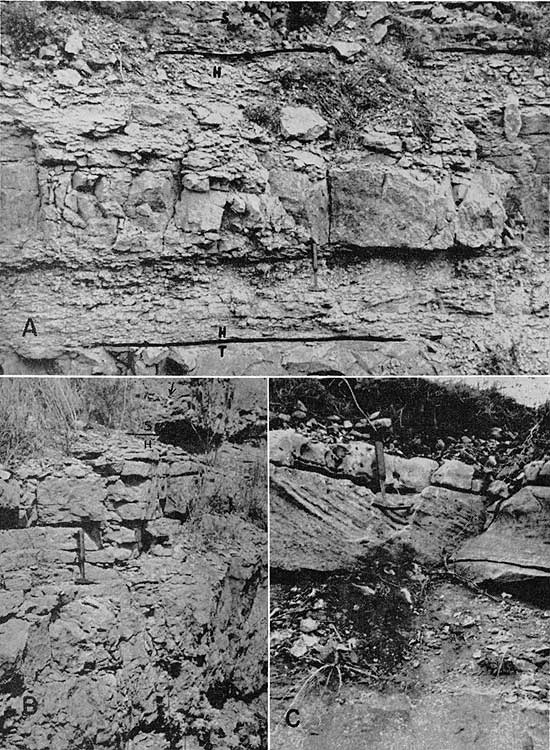 Three black and white photos showing Havensville limestone exposures.
