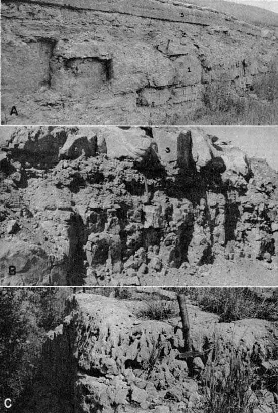 Three black and white photos showing Schroyer limestone exposures.