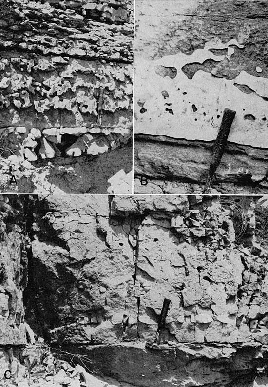 Three black and white photos showing closeups of chert exposures.