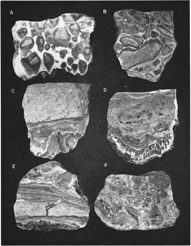 Six photos of polished sections, described in caption.