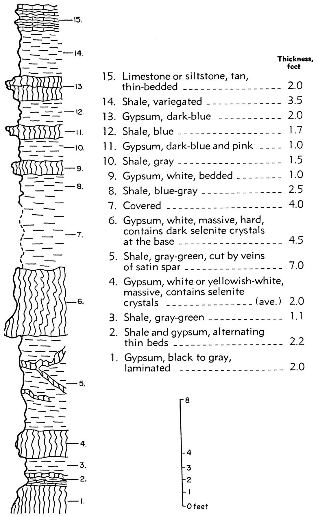 Stratigraphic section of Wellington gypsum exposed on the bank of Gypsum Creek, sec. 3, T. 14 S., R. 1 W.