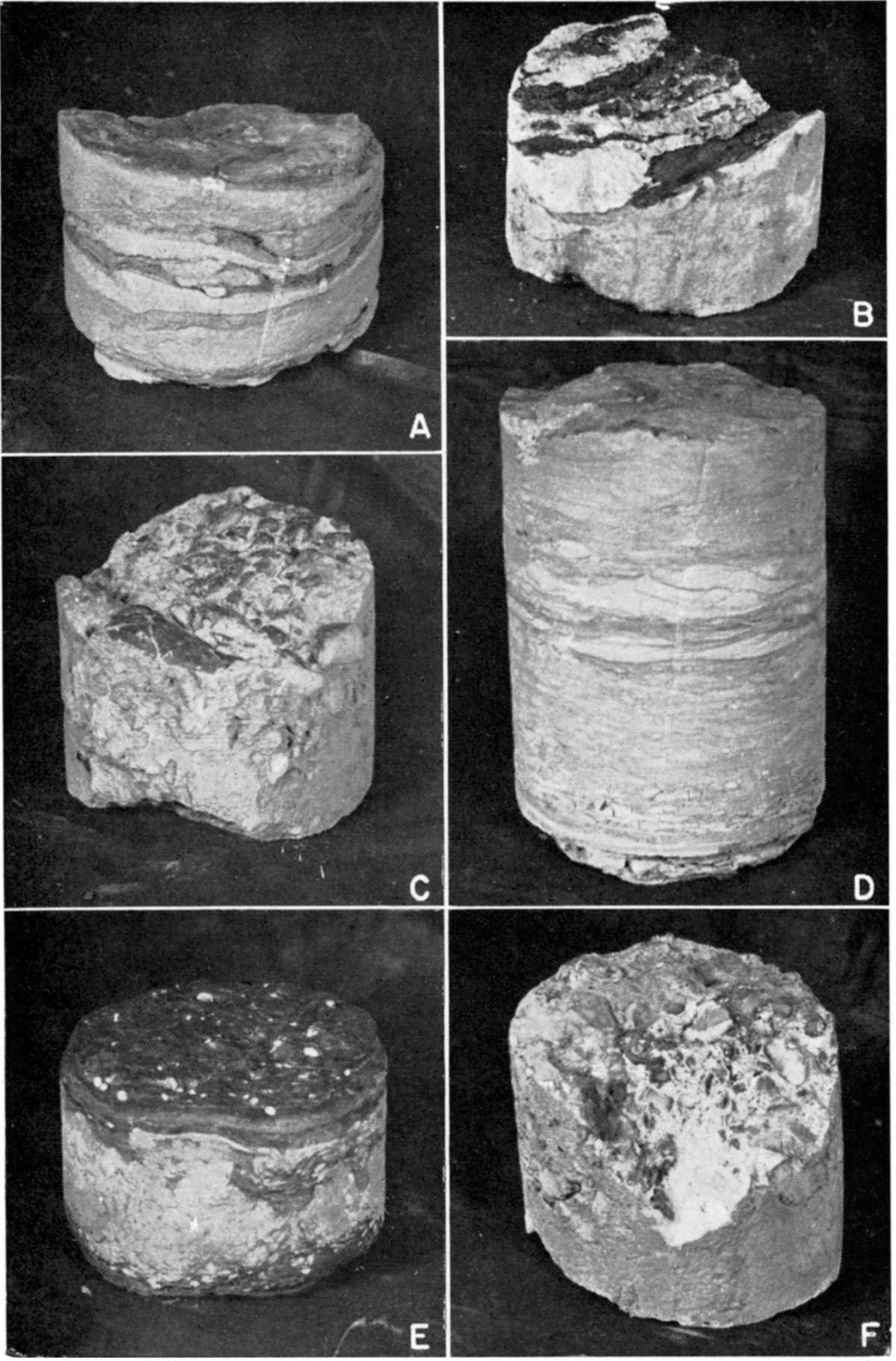 Photographs of representative core samples from Guy F. Atkinson No. 1 Beaumeister well.