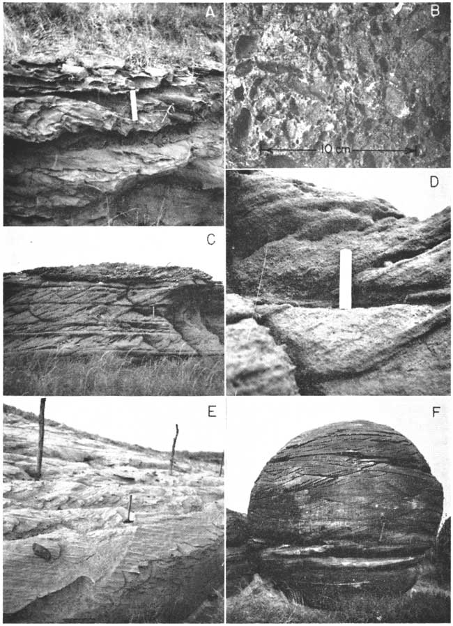 Six black and white photos, described in caption. A, C, D, and E are outcrops, smoothly eroded, showing cross-stratification; B is a photomicrograph; F is a large spherical erosional remnant from Rock City.