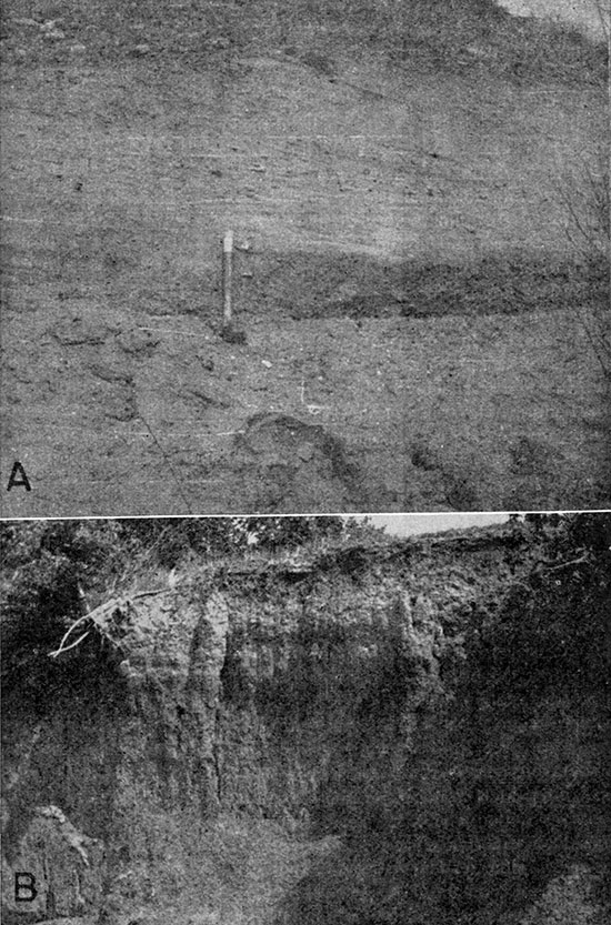 Two black and white photos; top photo is closeup of sand and gravel deposits, rock hammer for scale; bottom photo is soil profile, Newman Terrace.