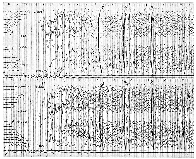 Typical seismograms from Fall Creek area.