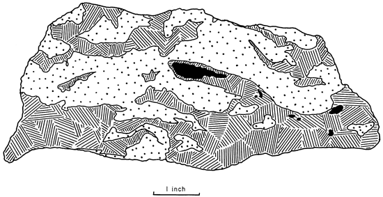 Drawing to highlight features of limestone in previous image.