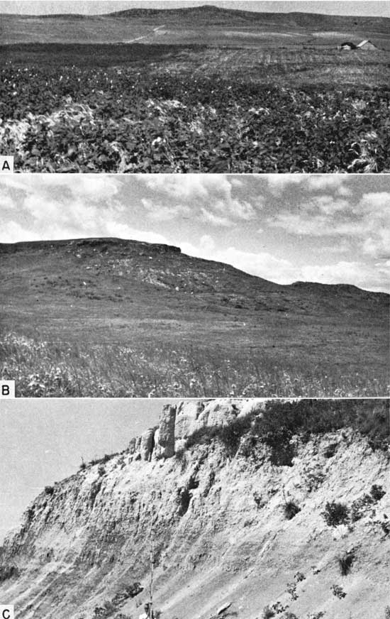 Three black and white photos showing Blue Hill member in various forms.