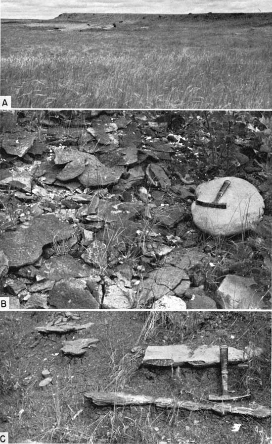 Three black and white photos; top is of grasslands with fat-topped mesa in background; send shows broken, dark-colored, clay-ironstone concretions on surface, hammer sitting on light-colored boulder for scale; two concretions in dark matrix.