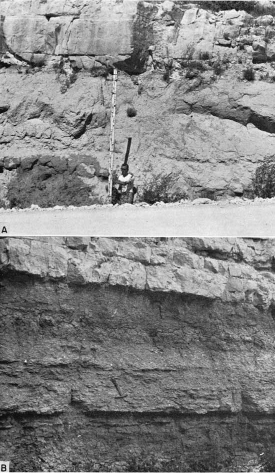 Two black and white photos; worker holding survey marker in front of thick, light colored outcrop; second photo shows dark sandy outcrop below, hammer for scale; with lighter color blocky beds above.