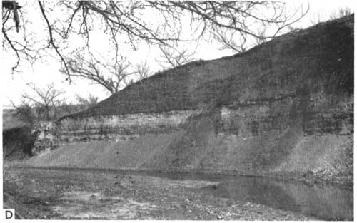 Black and white photo of steeply sided stream bank; just above stream is area of gravel fallen from upper areas; small landslide in center of outcrop.