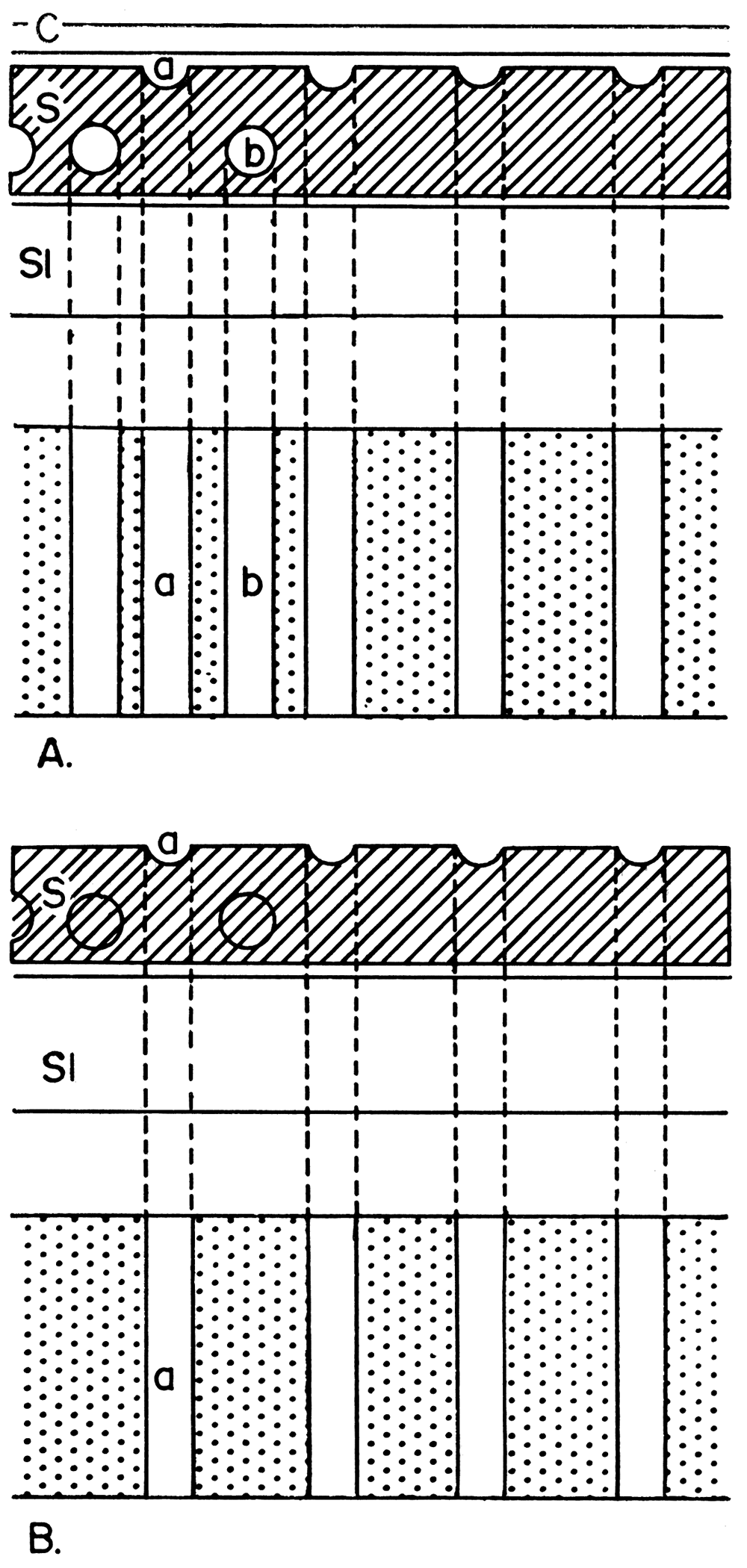 Diagram illustrating differences in detail observed in a thin section and a peel.