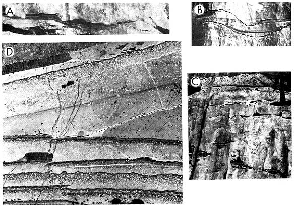 Four black and white photos, features described in caption. Scanned at same scale as in book.