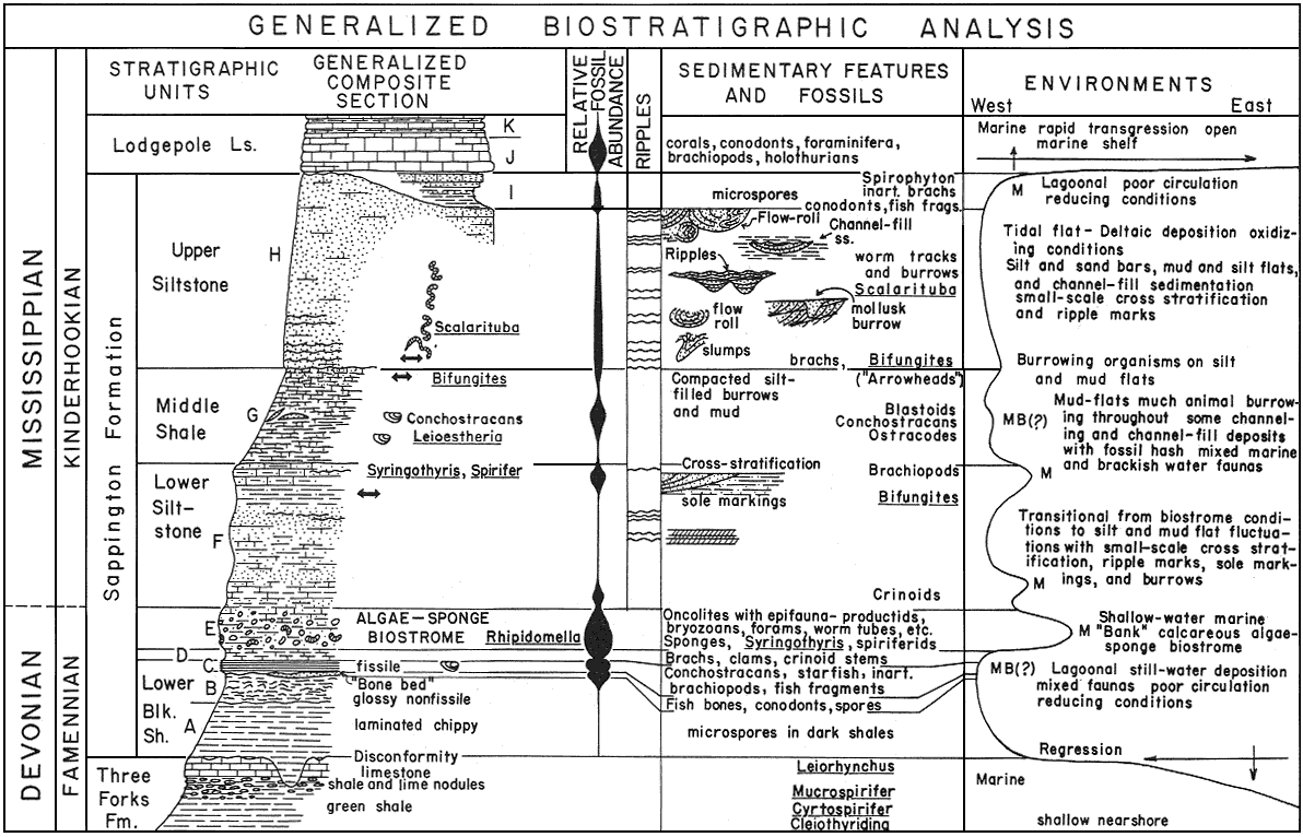 Figure compares stratigraphic section with fossils, sedimentary features, and environment