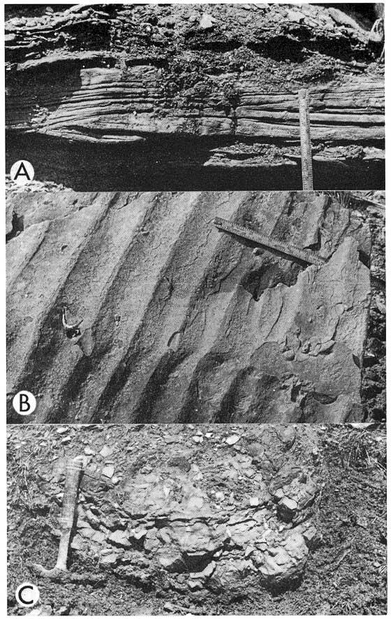 Three black and white photos. Top shows .5 foot of cross-bedding; middle sows ripple marks (frequency of 2-3 inches); bottom shows 1 by 3 foot concretion