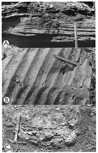 Three black and white photos. Top shows .5 foot of cross-bedding; middle shows ripple marks (frequency of 2-3 inches); bottom shows 1 by 3 foot concretion