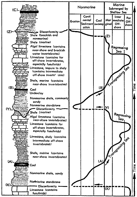 Pennsylvanian section compared to marine and non-marine categories